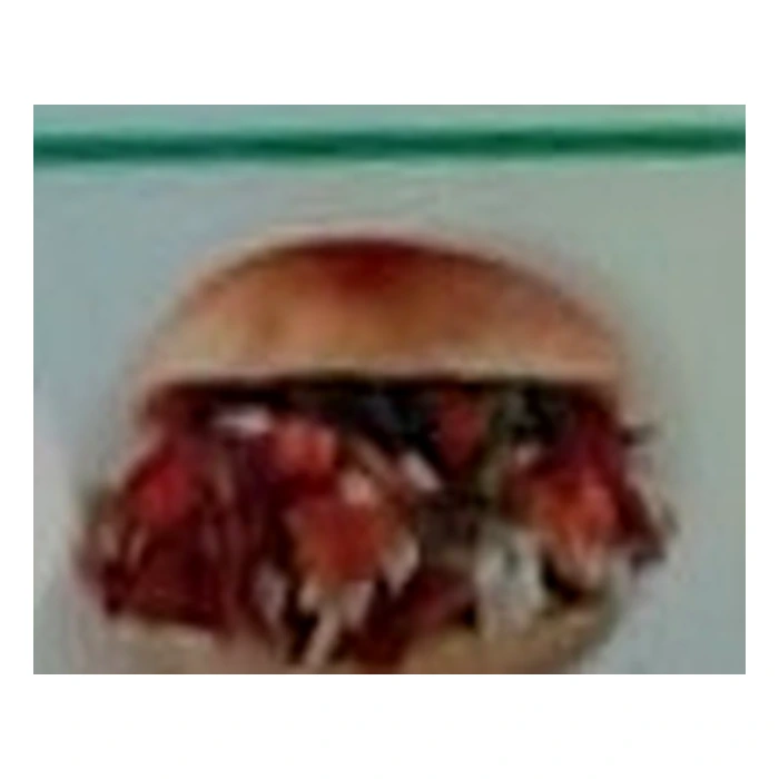 Panino Kebab